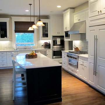 Wilmette Kitchen Update!