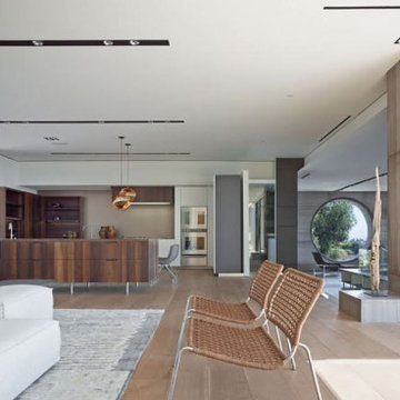 Hollywood Hills Modern