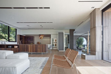 Imagen de salón abierto moderno extra grande con paredes blancas y suelo de madera en tonos medios