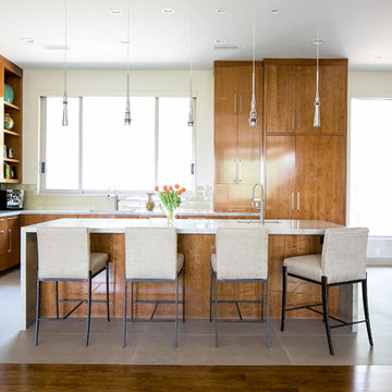 Warm Contemporary PV Moutainside