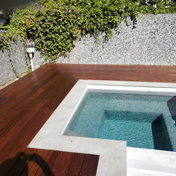 Pool & Deck Remodel