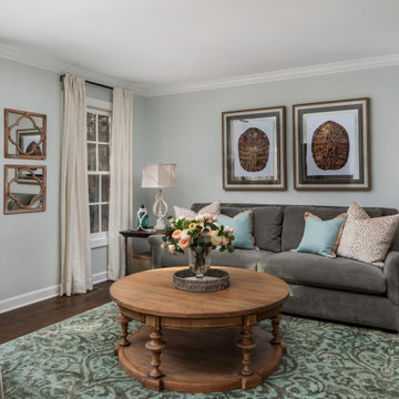 Turtle Shell Art Living Room