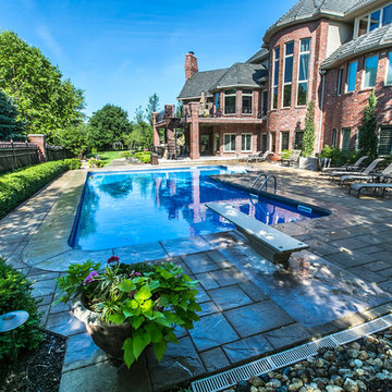 Backyard Oasis