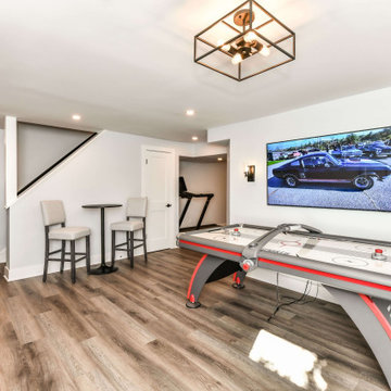 Carper's Farm Modern Basement Remodel in Vienna