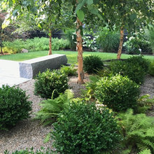 Front Landscape