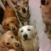 Stefania Galvani's photo