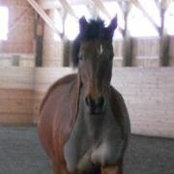 Laura Haney's photo