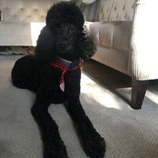 Brandy Brenner's photo