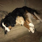 Foto di Jonny Greco