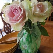 Lavana Zrnoh's photo