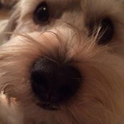 Kimberley Duda's photo
