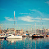 Ralph Selga's photo