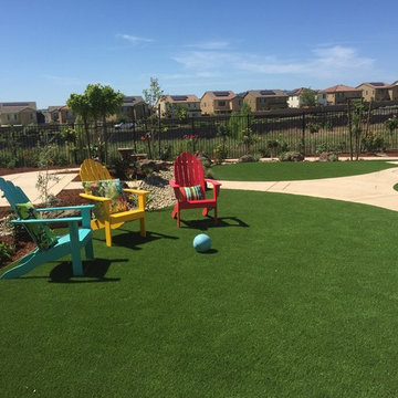El Dorado Hills Backyard