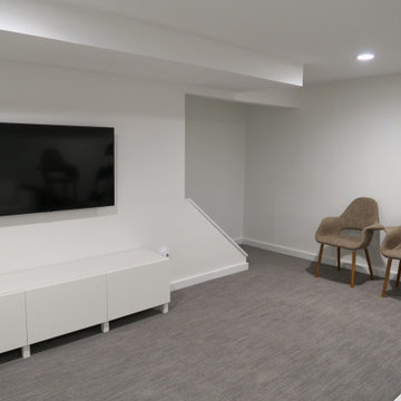 Basement Renovations