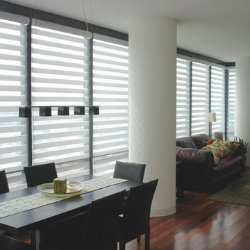 Illusion Window Shades