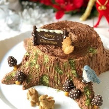 Xmas Cake