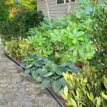 Foundation Plantings