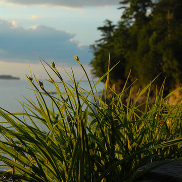 Shelburne Point - Shelburne, VT