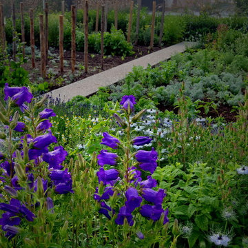 flowering vegetable garden