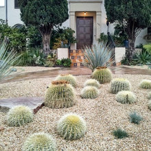 Mediterranean landscape designs
