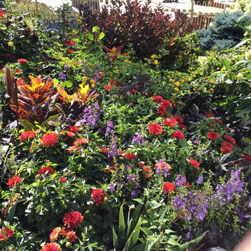 Expansive Landscape Design