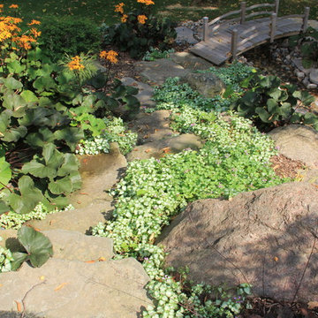 Backyard Water Pond-less Falls