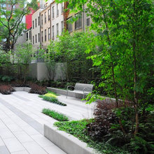 Landscaping and outdoors