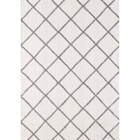 Silky Shag 5920-110 Area Rug, Ivory And Silver, 3'11"x5'7"