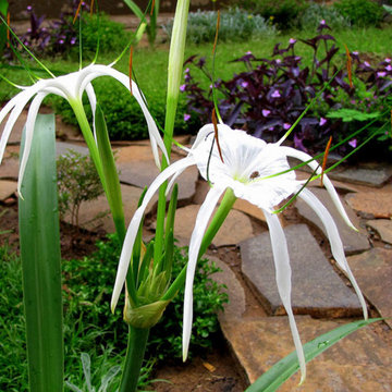 OLGA'S GARDEN, Livingstone - Zambia