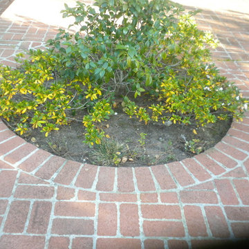 Kennedy Arbor