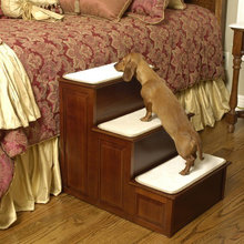 Pet Accessories