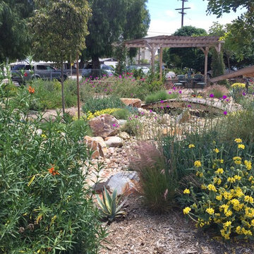 Dry Creek Bed and Rain Water Harvesting in El Cajon