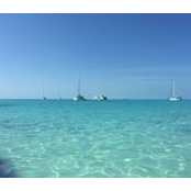 Lisa Collicutt's photo