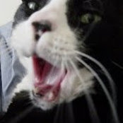 Christine Barnum's photo
