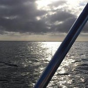 Margaret Edmonds's photo