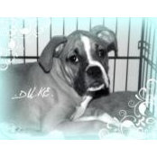 Faye Fairbanks's photo