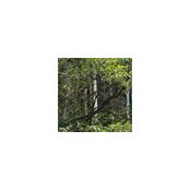Houzz-ID: 4121745s foto