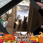Sharon Easley's photo