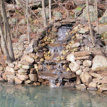 Custom Pond & Water Feature Installations