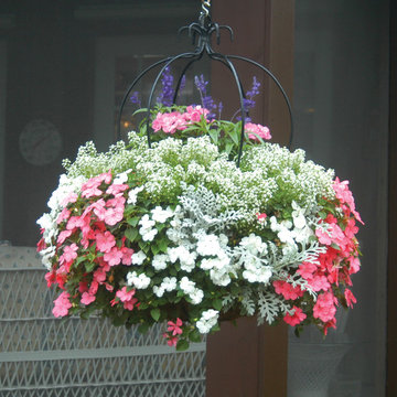 Hanging Baskets