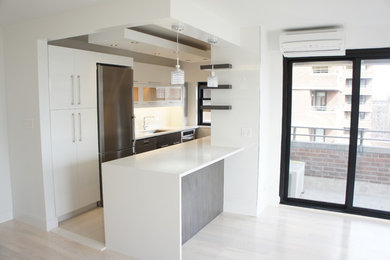 Kitchen - modern kitchen idea in New York
