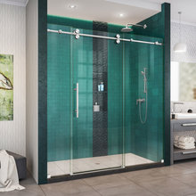 Shower Door