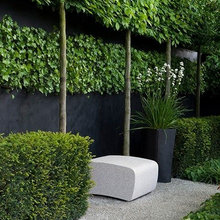 Garden ideas
