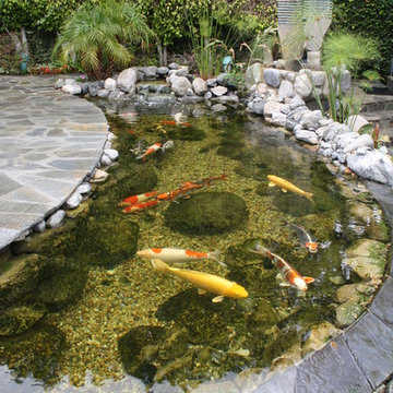 Beverly Hills Tranquility