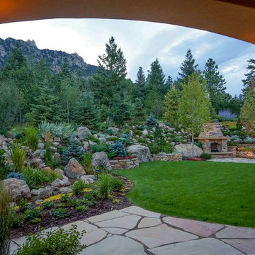 Backyard from the patio