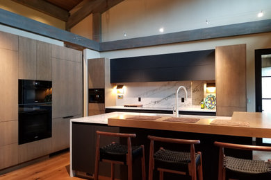 Design ideas for a modern kitchen in Boise.