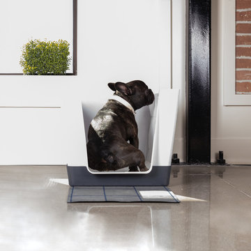 Dog Space