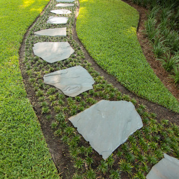 Lake Waccamaw | Irregular Stepping Stones with Dwarf Mondo