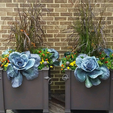 Seasonal Display