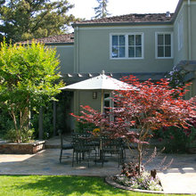 trees in patios